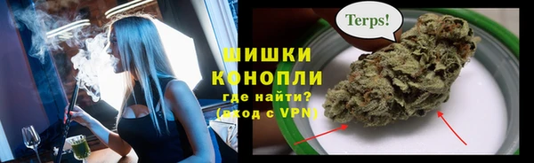 шишки Баксан
