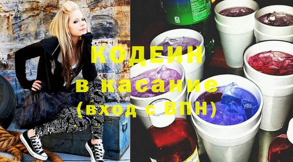 шишки Баксан
